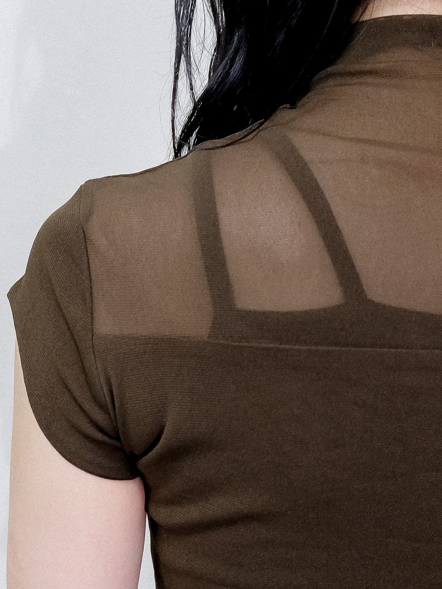Sheer High Neck Top [603399] brown(60)