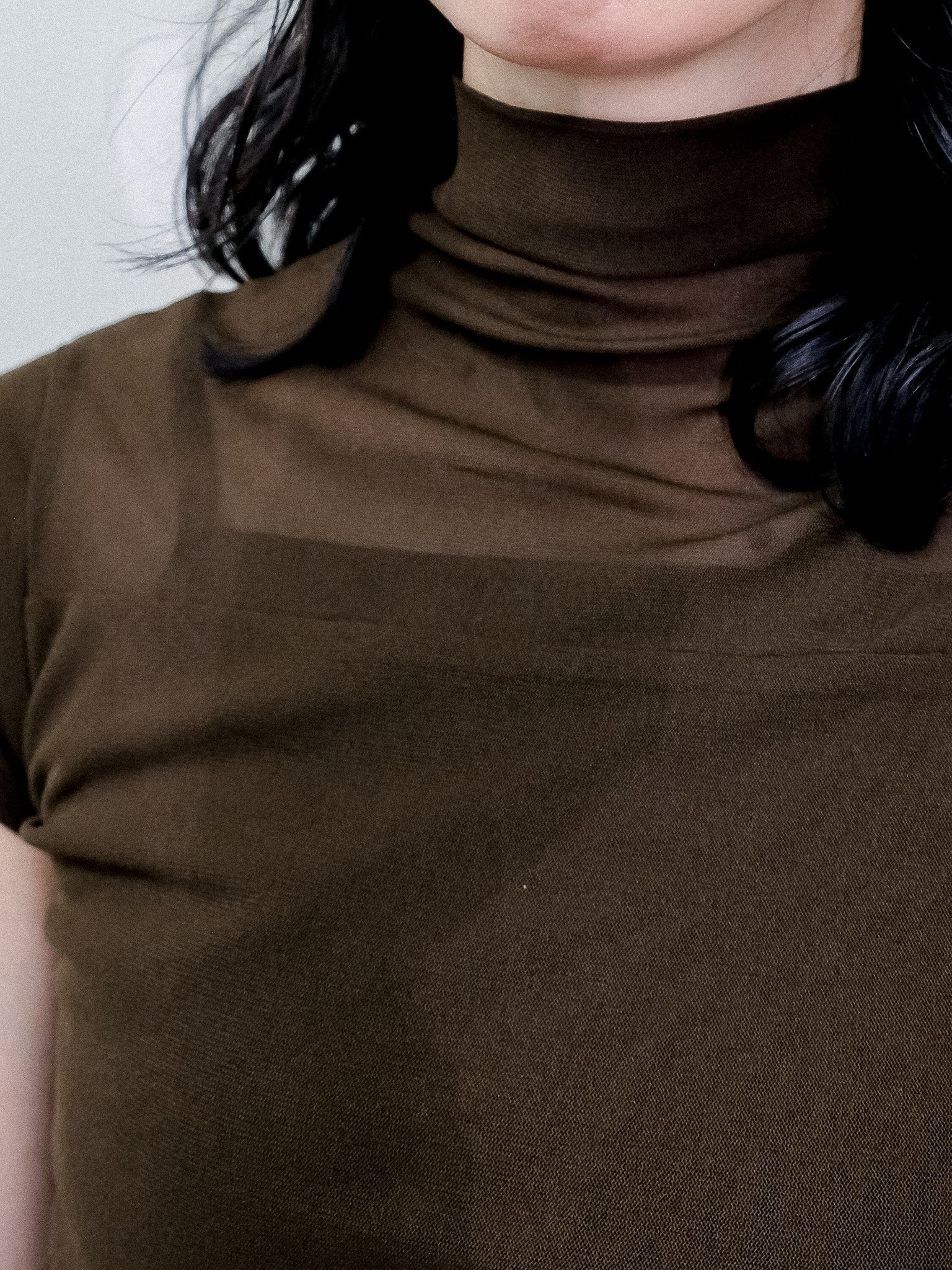 Sheer High Neck Top [603399] brown(60)