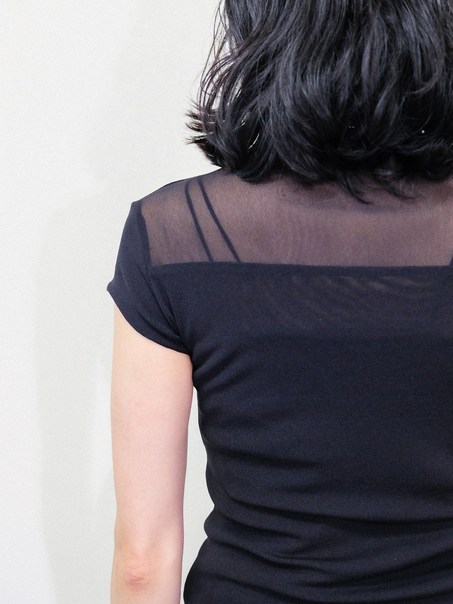 Sheer High Neck Top [603399] black(99)