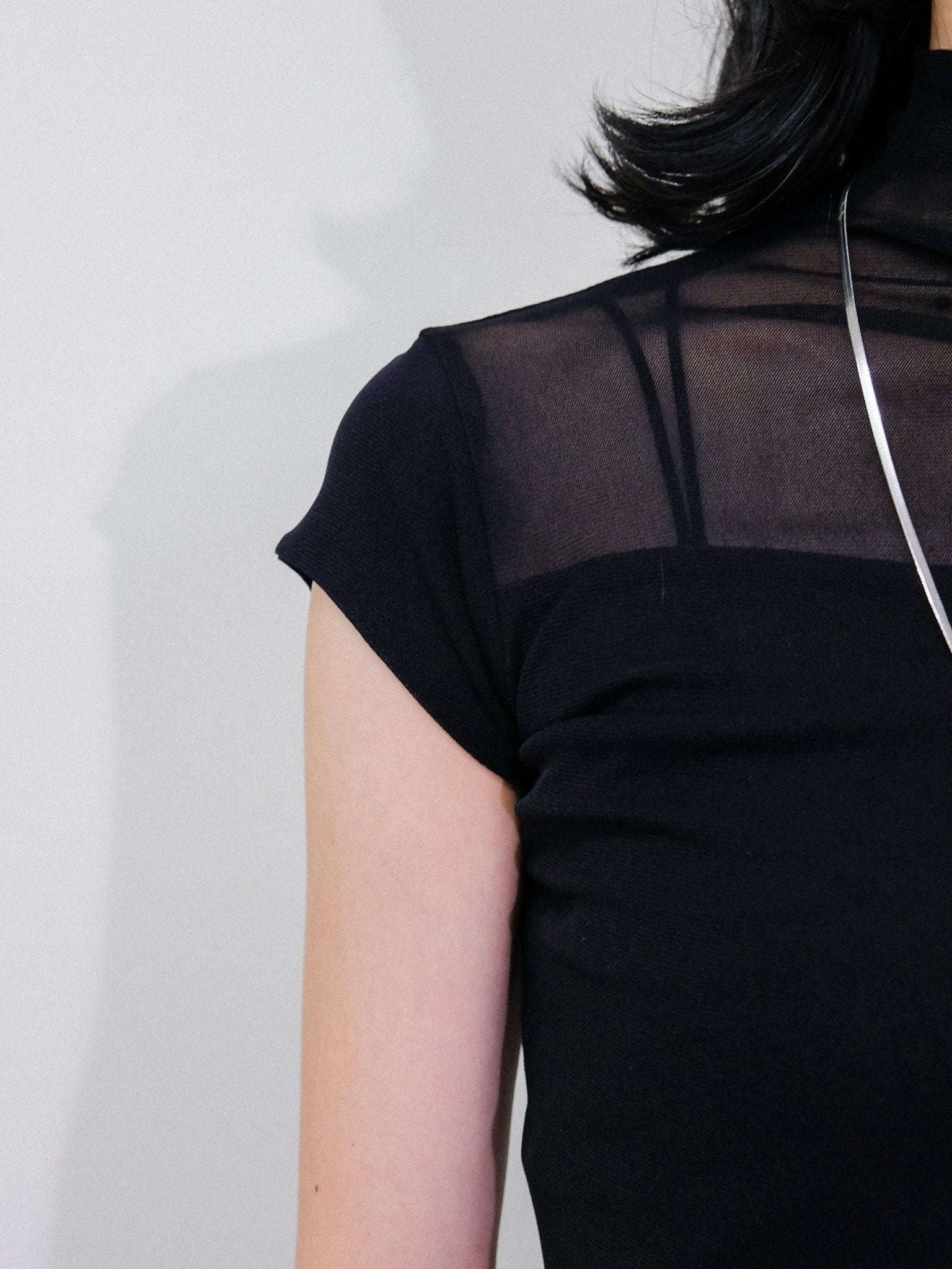 Sheer High Neck Top [603399] black(99)